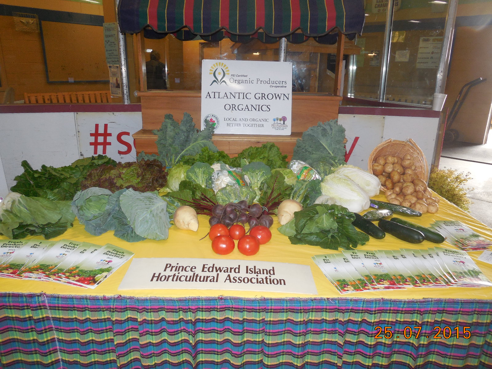 Crapaud Exhibition Photos